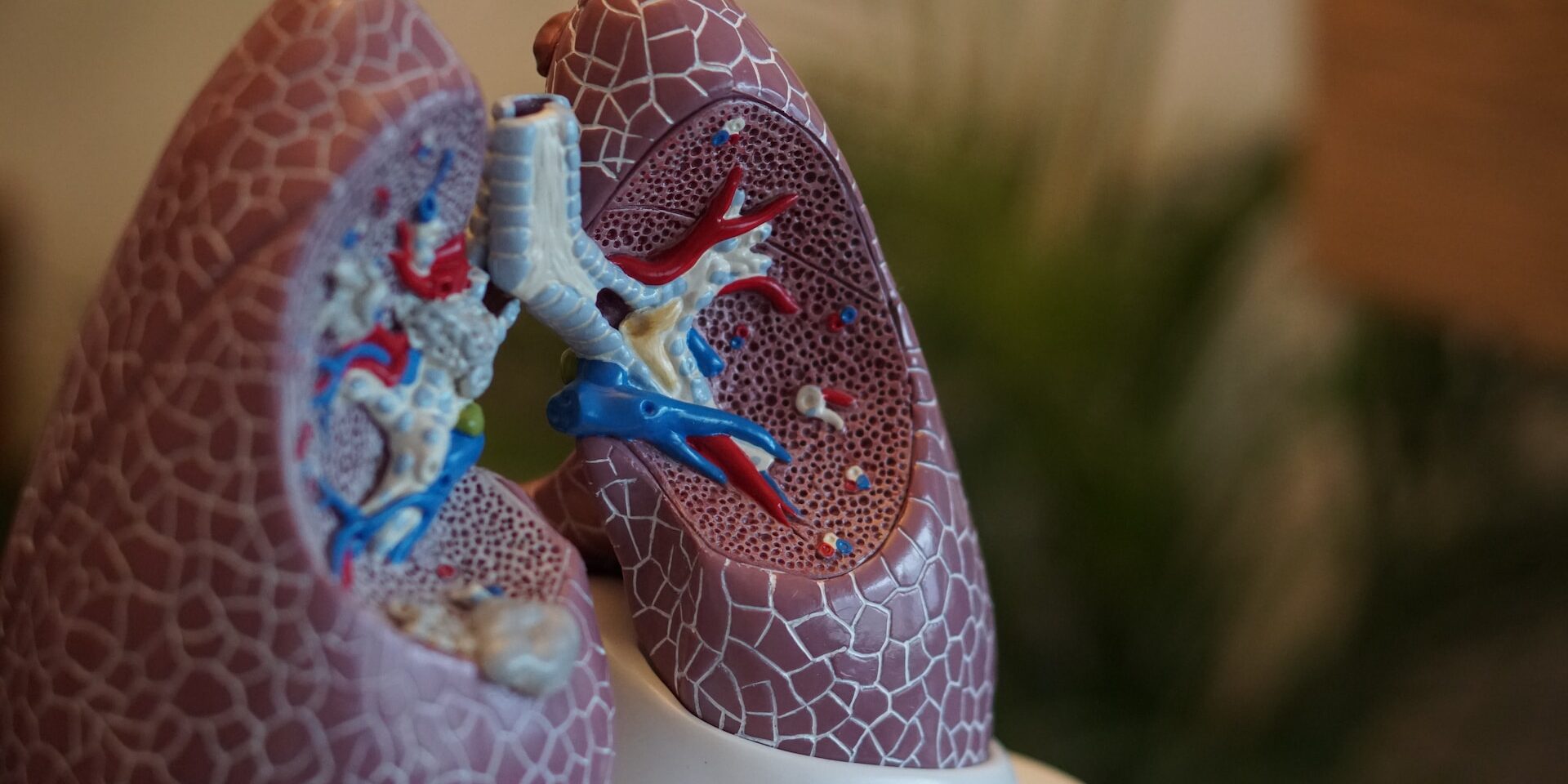 Screening cancro al polmone