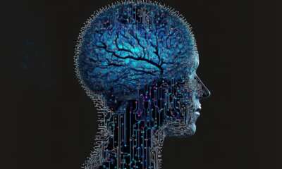 brain-computer interface